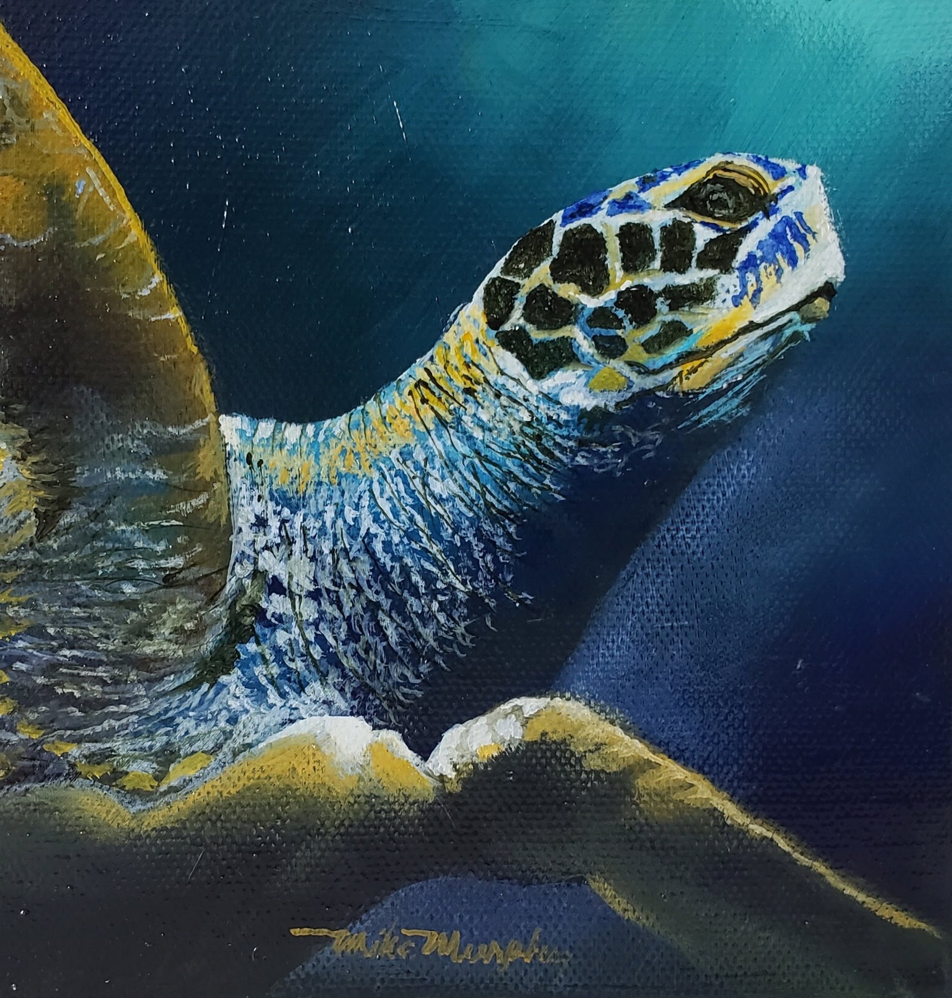 Sea Turtle, Oil on canvas